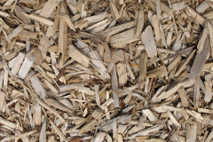 biomass boilers Creediknowe