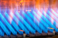 Creediknowe gas fired boilers